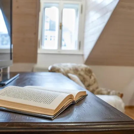 Jewel - Stylish Flat In The Center! With Sauna * Karlsbad