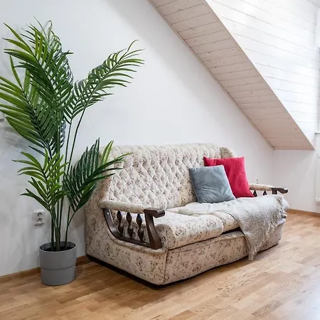 Apartment Jewel - Stylish Flat In The Center! With Sauna Karlsbad