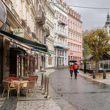 Jewel - Stylish Flat In The Center! With Sauna Apartament Karlowe Wary